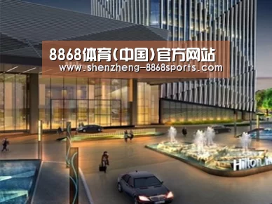 案例展示二