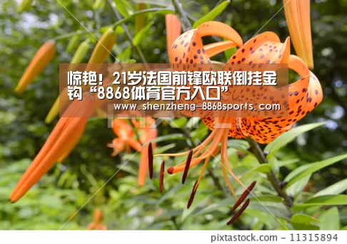 惊艳!21岁法国前锋欧联倒挂金钩“8868体育官方入口”(图1) 8868体育官方网站